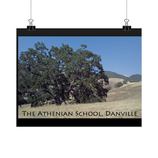 Athenian Oak Horizontal Fine Art Prints (Posters)  Rachel Jensen Designs