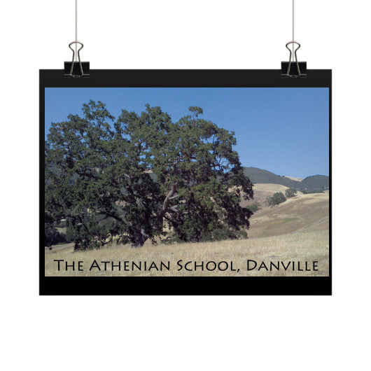 Athenian Oak Horizontal Fine Art Prints (Posters)  Rachel Jensen Designs