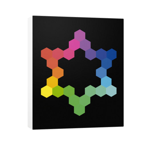 Hexagon Color Study Vertical Canvas  Rachel Jensen Designs