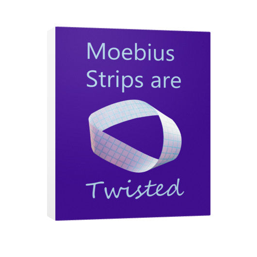 Moebius Vertical Canvas  Rachel Jensen Designs