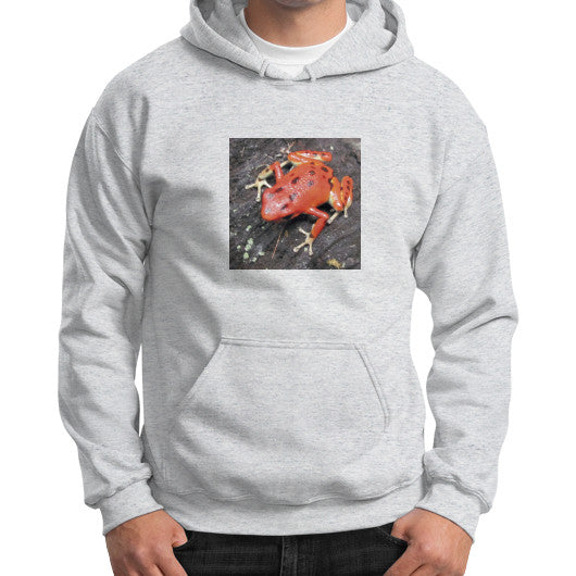 Red Bastimentos Dart Frog Gildan Hoodie Ash grey Rachel Jensen Designs