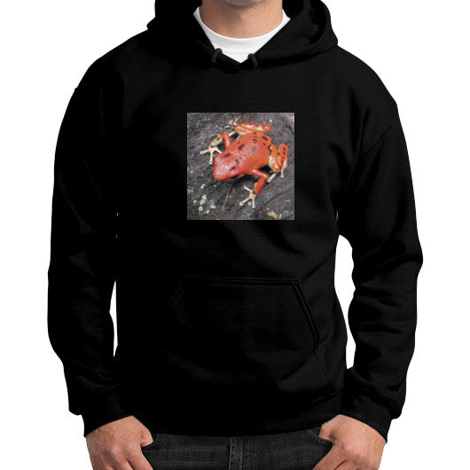 Red Bastimentos Dart Frog Gildan Hoodie Black Rachel Jensen Designs