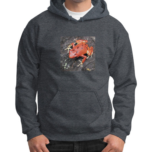 Red Bastimentos Dart Frog Gildan Hoodie Dark heather Rachel Jensen Designs